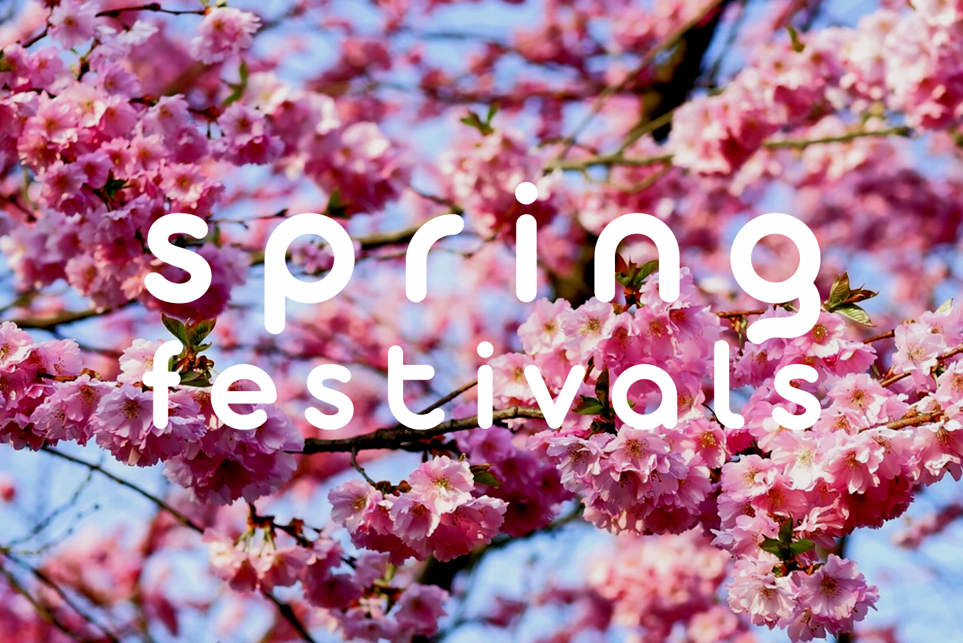 Spring festivals